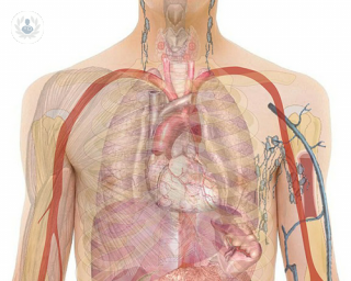 Beating heart coronary bypass surgery: why is it so advantageous? Find out here in one of today's informative articles!