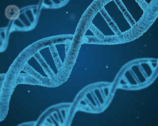 Digital image of DNA