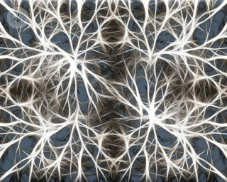 nerve-cells-seizures