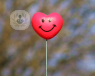 Smiling heart on a stick