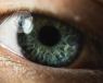 An up-close look at a blue eye