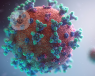 A digital image of the COVID-19 virus