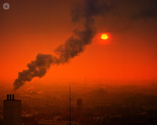 City pollution - a major cause of lung cancer