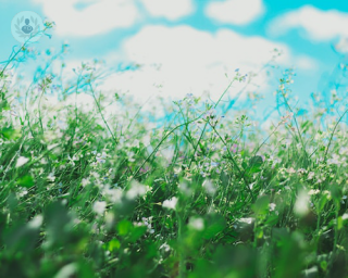 grass pollen allergy, allergy testing, adult allergies, hay fever, food allergies