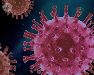 A digital image of the coronavirus COVID-19 virus