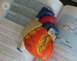 A 3D model of the heart