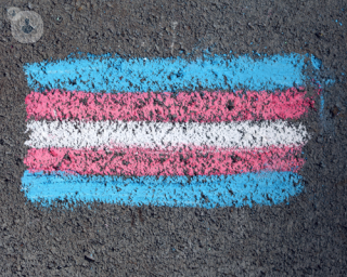 The trans flag