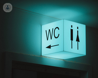 A female and toilet green LED WC sign