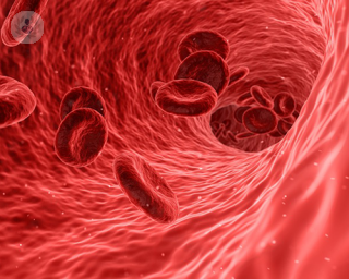 Digital illustration of blood cells in blood vessel, which can be affected by anaemia
