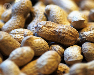 A photo of nuts. 