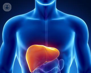 liver transplantation, liver function, organ, liver donor, liver failure, surgery