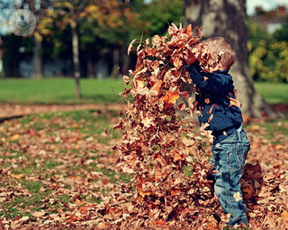 Young boy playing in the leaves