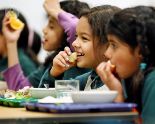 children eating school dinner
