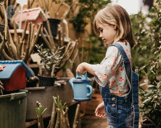 Child wearing dungarees and a colourful t-shirt, watering plants in a garden