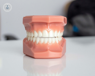 Plastic teeth model