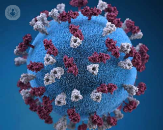 A visual depiction of what a coronavirus could look like up close.