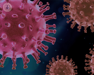 A digital image of the coronavirus COVID-19