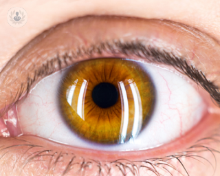 close up human eye