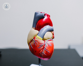 A 3D model of the heart.