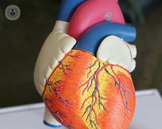 acute coronary syndromes, heart, cardiology