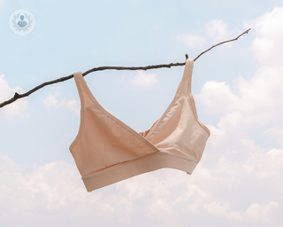 A bra hung on the branch of a tree, drying in the wind.