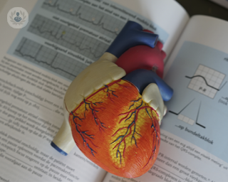 A 3d model of the heart and its interior. The model is on top of a textbook with open pages with images and text -that is too small to read- about heart rhythms.