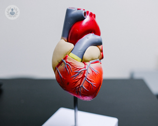 A 3D model of the heart.