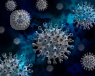 A digital image of the coronavirus COVID-19