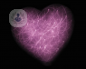 A picture of a heart. New findings suggest that Covid-19 may have an affect on the heart.