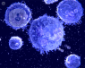 Is immunotherapy a better alternative to chemotherapy?