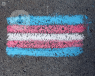 The trans flag