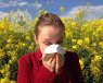 hay fever