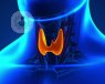 thyroid_parathyroid_surgery