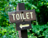 Someone with an overactive bladder could find toilet signs handy