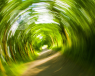 A blurry image of trees to represent dizziness