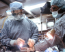 Heart surgeons performing the transcatheter aortic valve implantation (TAVI)