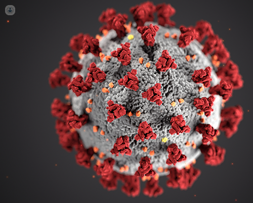 An image of coronavirus COVID-19