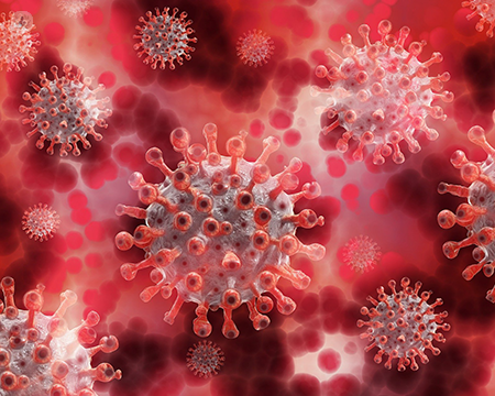 A digital image of the coronavirus COVID-19 virus.