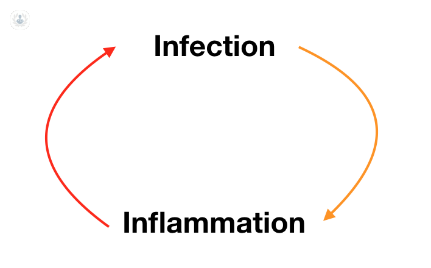 A diagram of the infection/inflammation cycle that can lead to recurrent UTIs