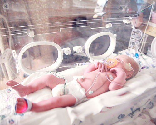 Baby in a ventilator