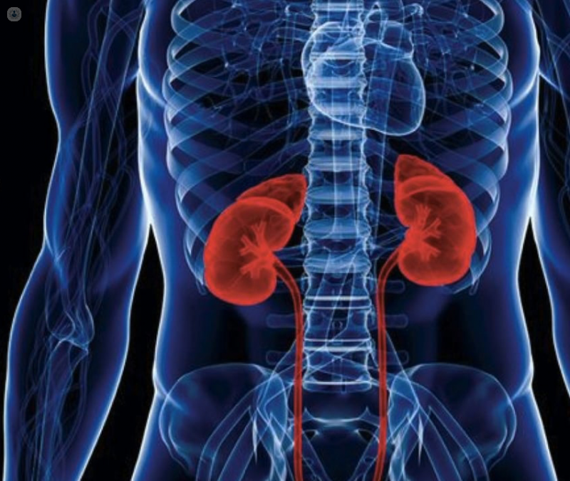 hiv kidney disease symptoms