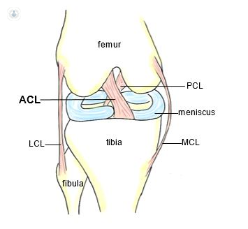 Can You Still Walk With A Torn Mcl Or Acl Acl Injuries Everything You Need To Know