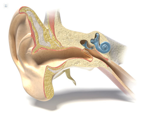 Diagram of outer and inner ear, which can be affected by conditions that require ear neurosurgery