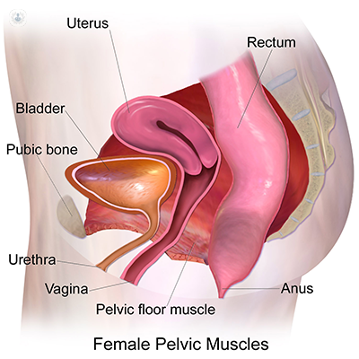 Caring for women with pelvic floor disorders during pregnancy and postpartum:  Expert guidance