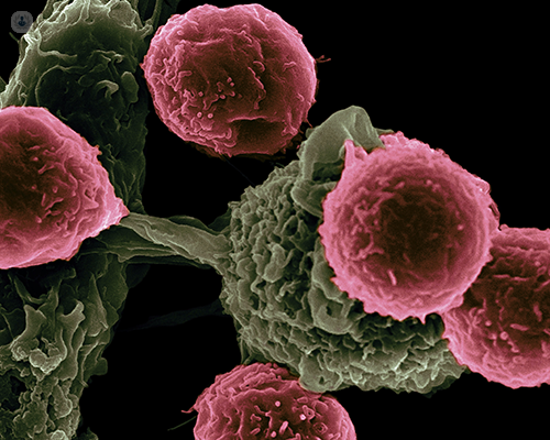 A digital image of cells undergoing immunotherapy