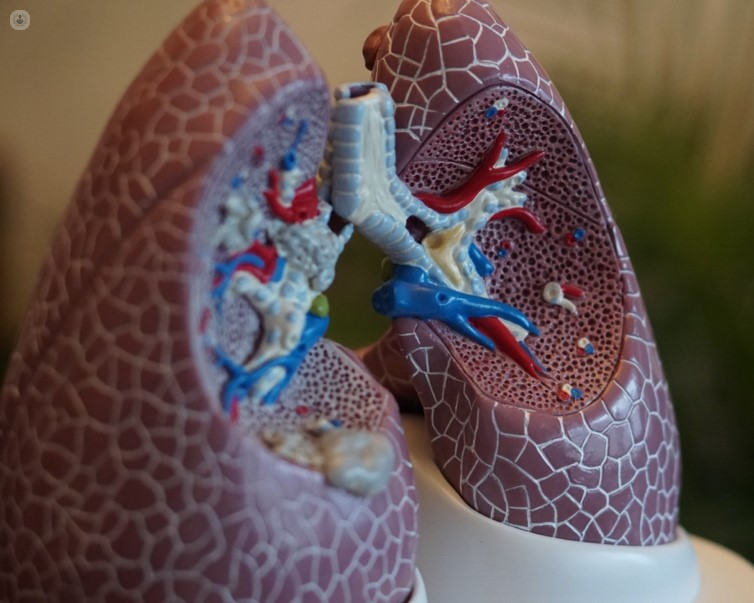 lungs