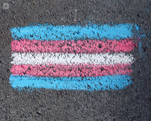 Pink, blue, black and white transgender flag in chalk on grey concrete