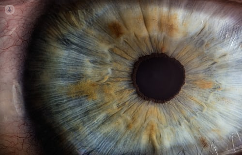 Close up of a pupil (eye)