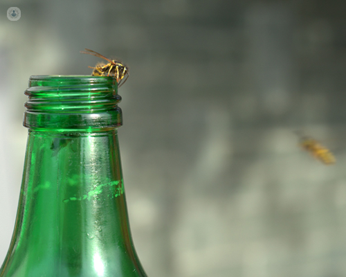 Wasps by a green bottle