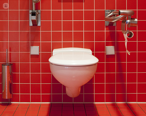 A red tiled bathroom with a tiolet bowl.